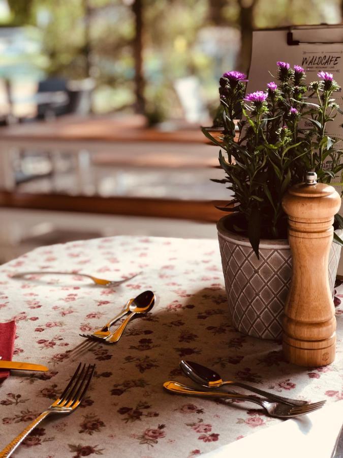 Gasthof Restaurant Waldcafe Mayrhofen Zewnętrze zdjęcie